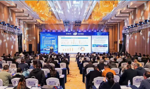 Kaijin New Energy won the "2024 Most Valuable Brand Award in the Lithium Battery Negative Electrode Material Industry"