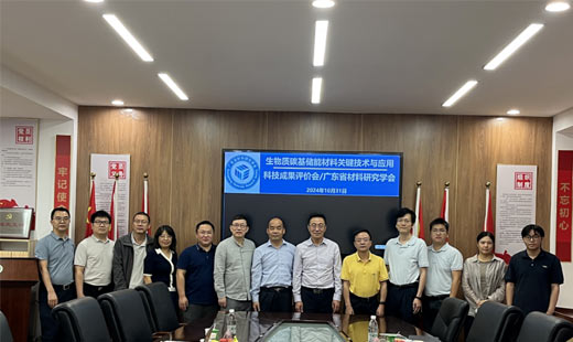 凯金新能源产学研项目荣获 &ldquo;国际先进&rdquo; 评价