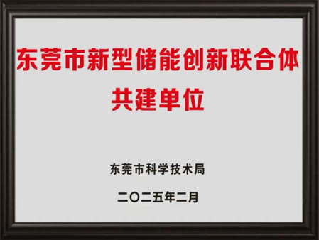 Co create the "Dongguan New Energy Storage Innovation Alliance"